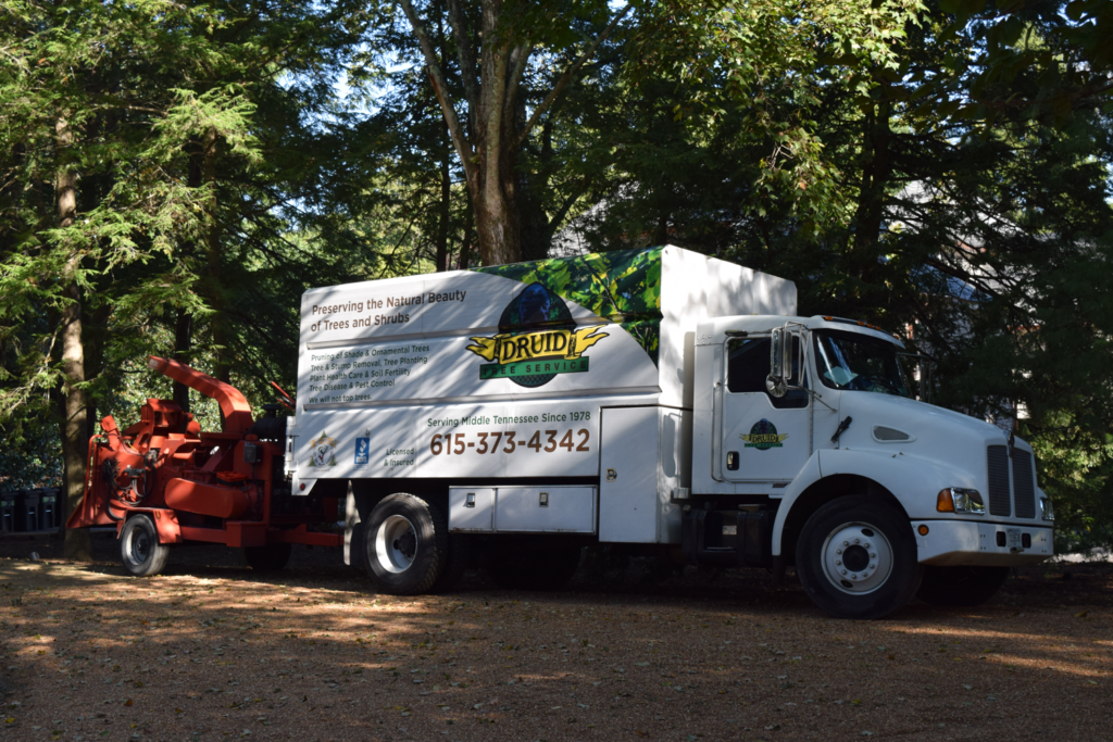 Druid Tree Service truck