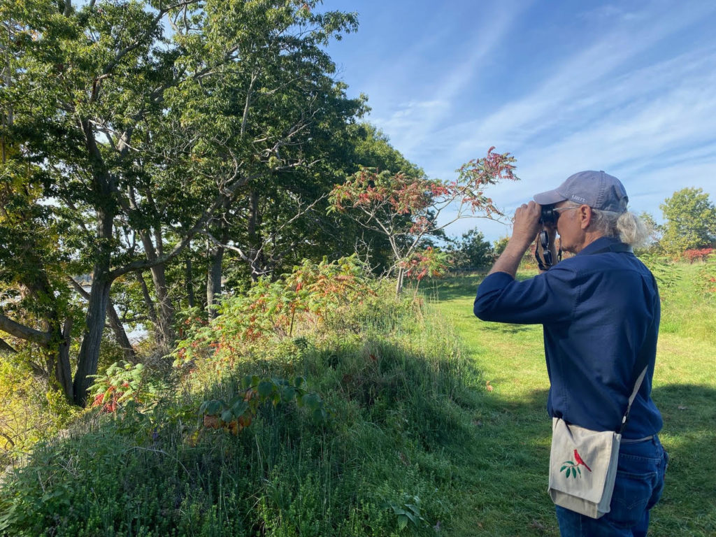 Cabot Cameron Druid Tree Service birding